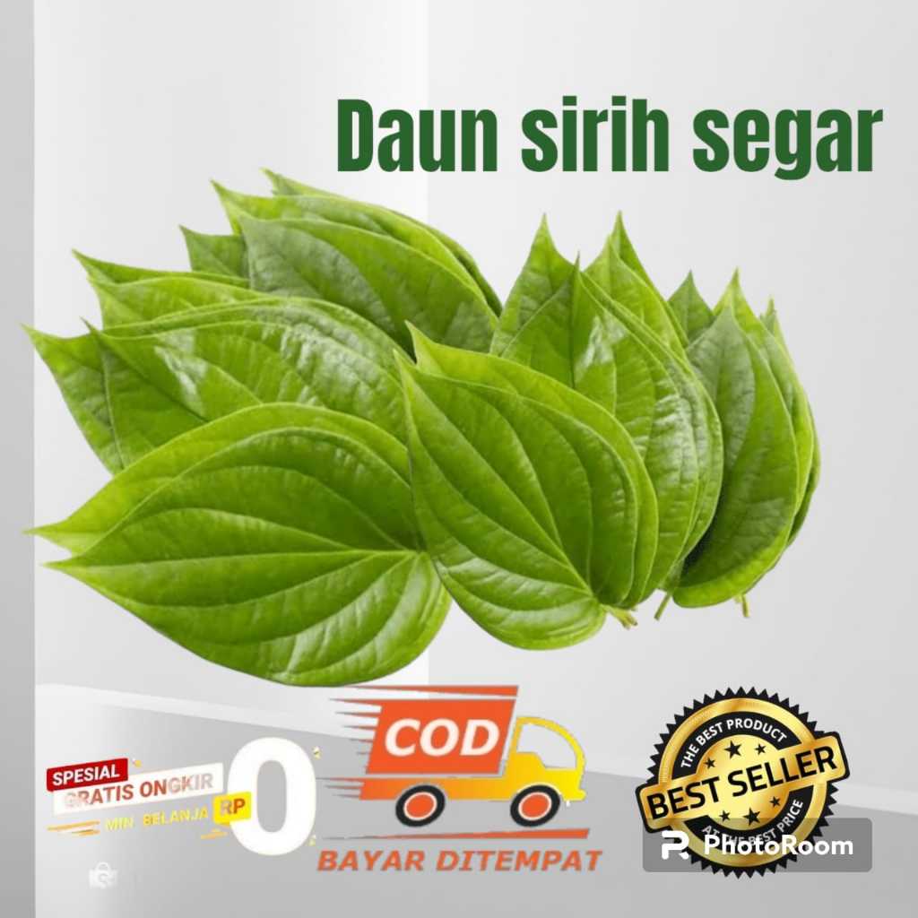 

daun sirih segar 50 lembar dan 100 lembar