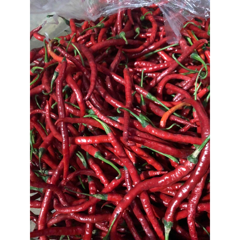 

cabai merah