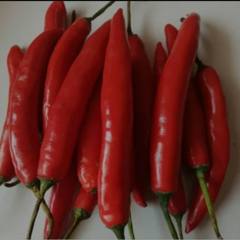 

Syegar cabai merah besar super 500 gr