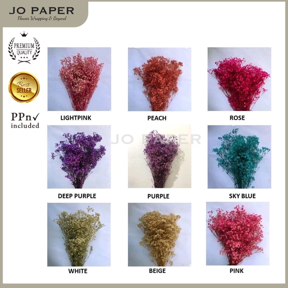 [1 IKAT] Preserved Babybreath Grade A / Babybreath Kering Bunga Abadi Eternal Dried Flower Asli