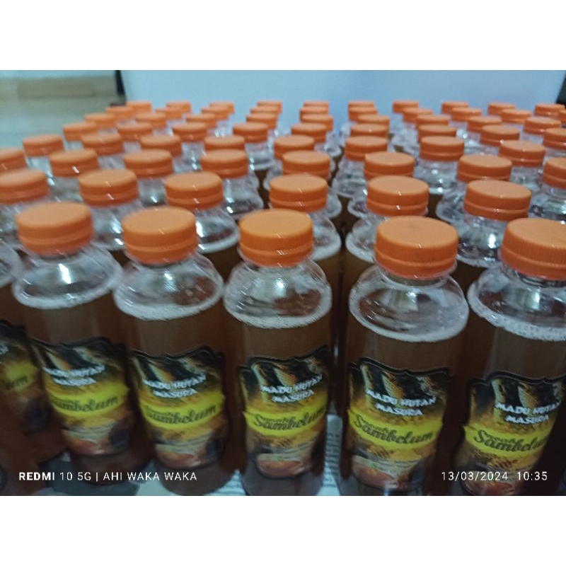 

madu lebah asli kalimantan tengah
