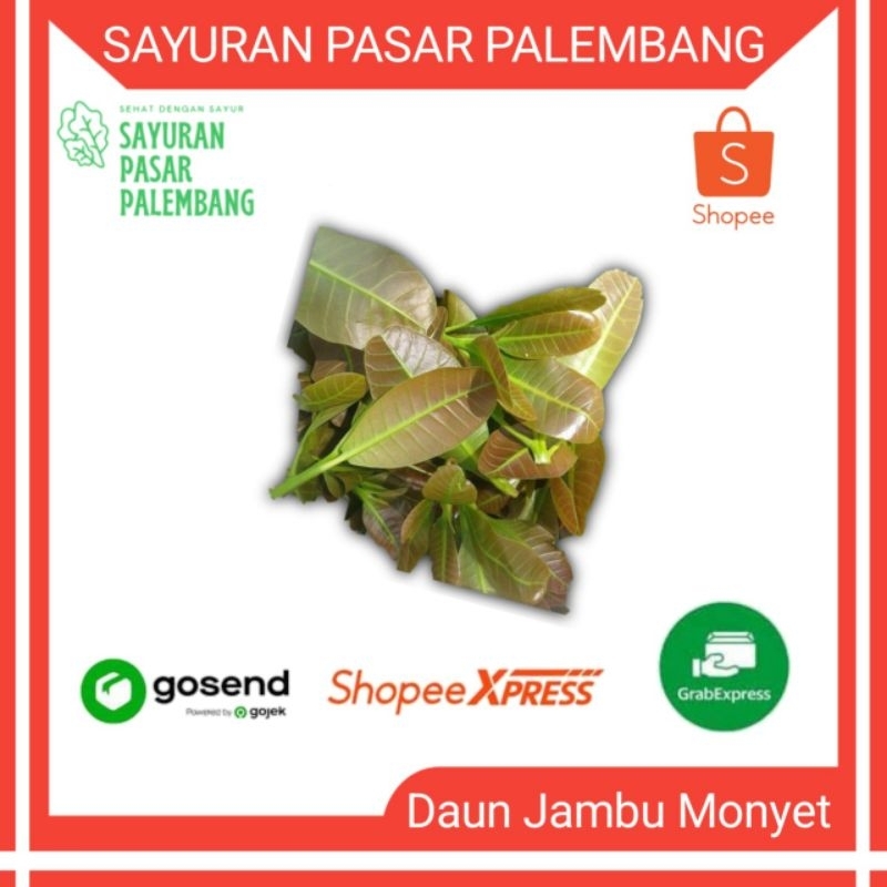 

Lalapan daun jambu monyet - Sayuran Pasar Palembang