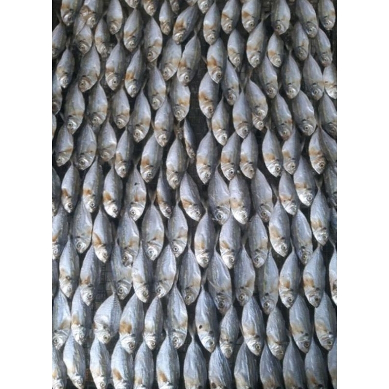 

Ikan Asin Selar Kuning Madura Sampang | Kemasan 1 Kg