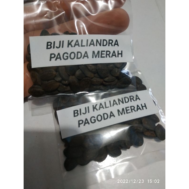 BIJI KALIANDRA PAGODA MERAH ISI 100 BIJI / BENIH KALIANDRA PAGODA