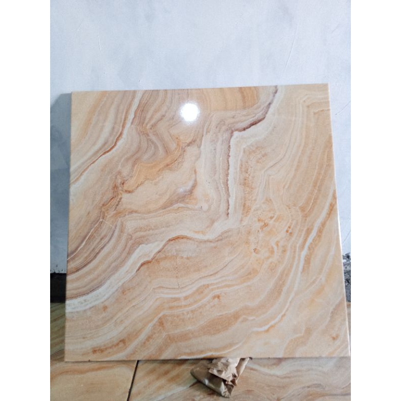 yellow Sentarum 12-15cm