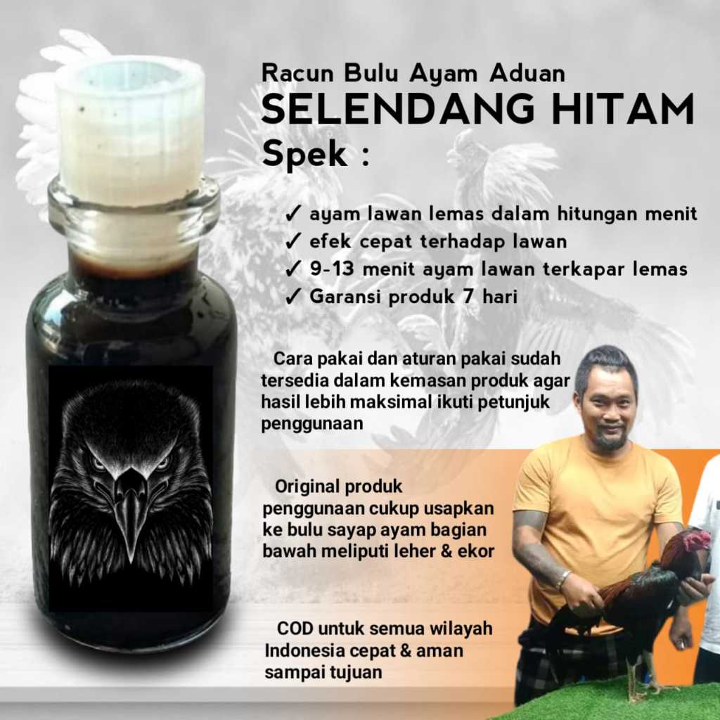 racun jalu ayam bangkok murah jamu jago tarung pakhoy brutal lock brakot