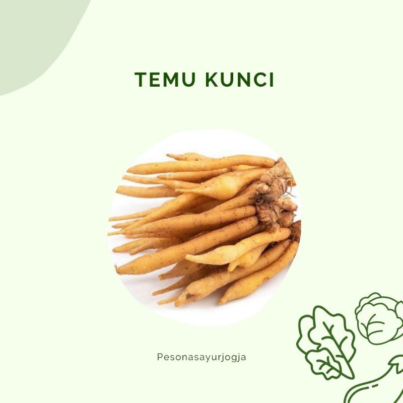 

TEMU KUNCI