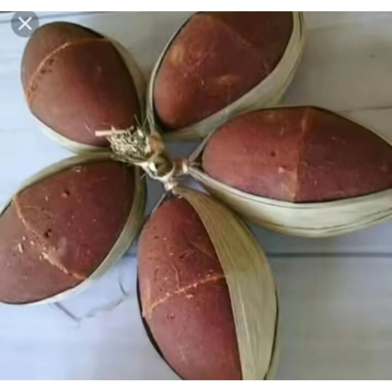 

Gula Aren 1 Kojor / 5 Pasang