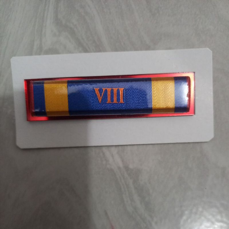 SatyaLencanaPOLRI8tahun