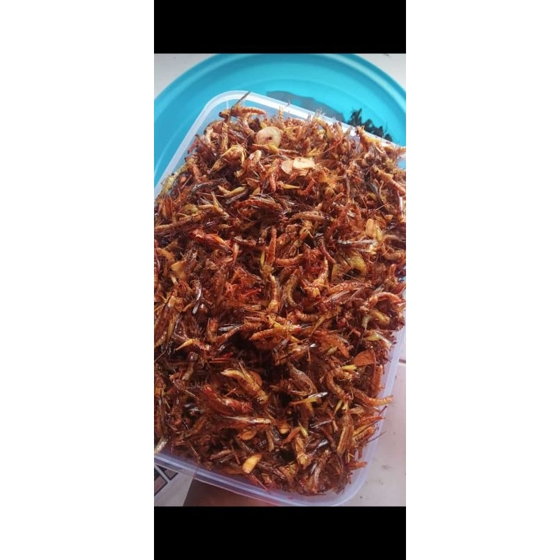 

belalanggorengkecil/utis