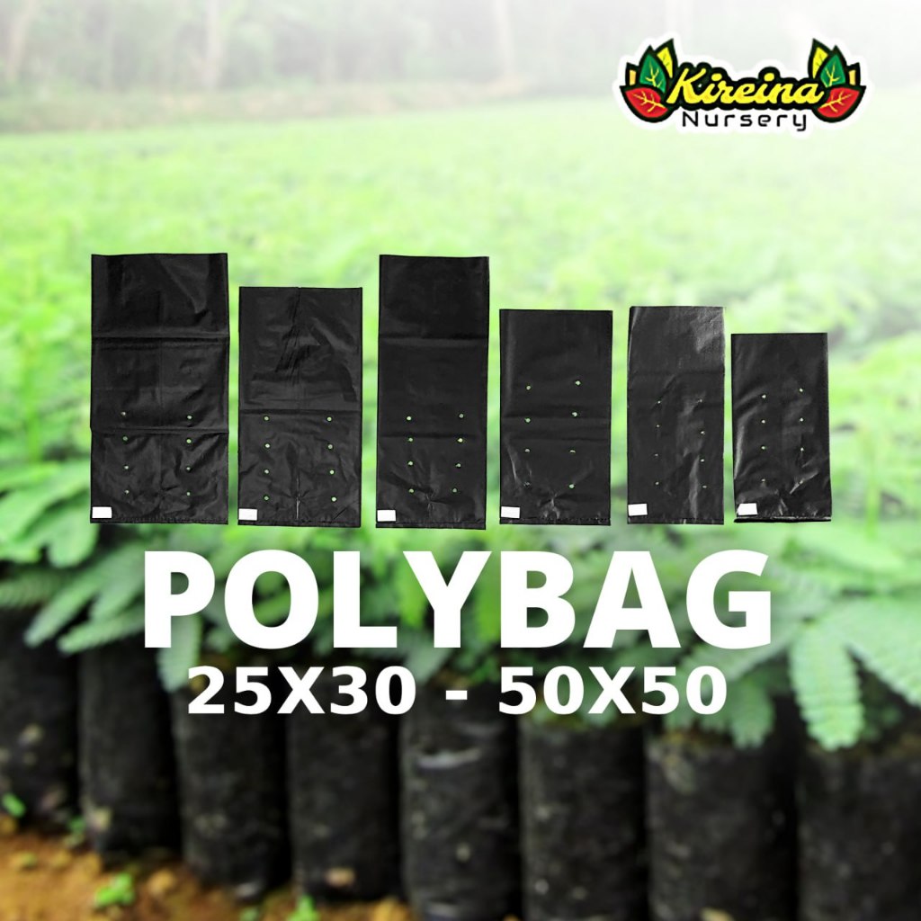 [5 pcs] Polybag Besar