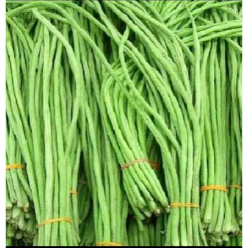 

Kacang Panjang/Sayur kacang panjnag 500 gram