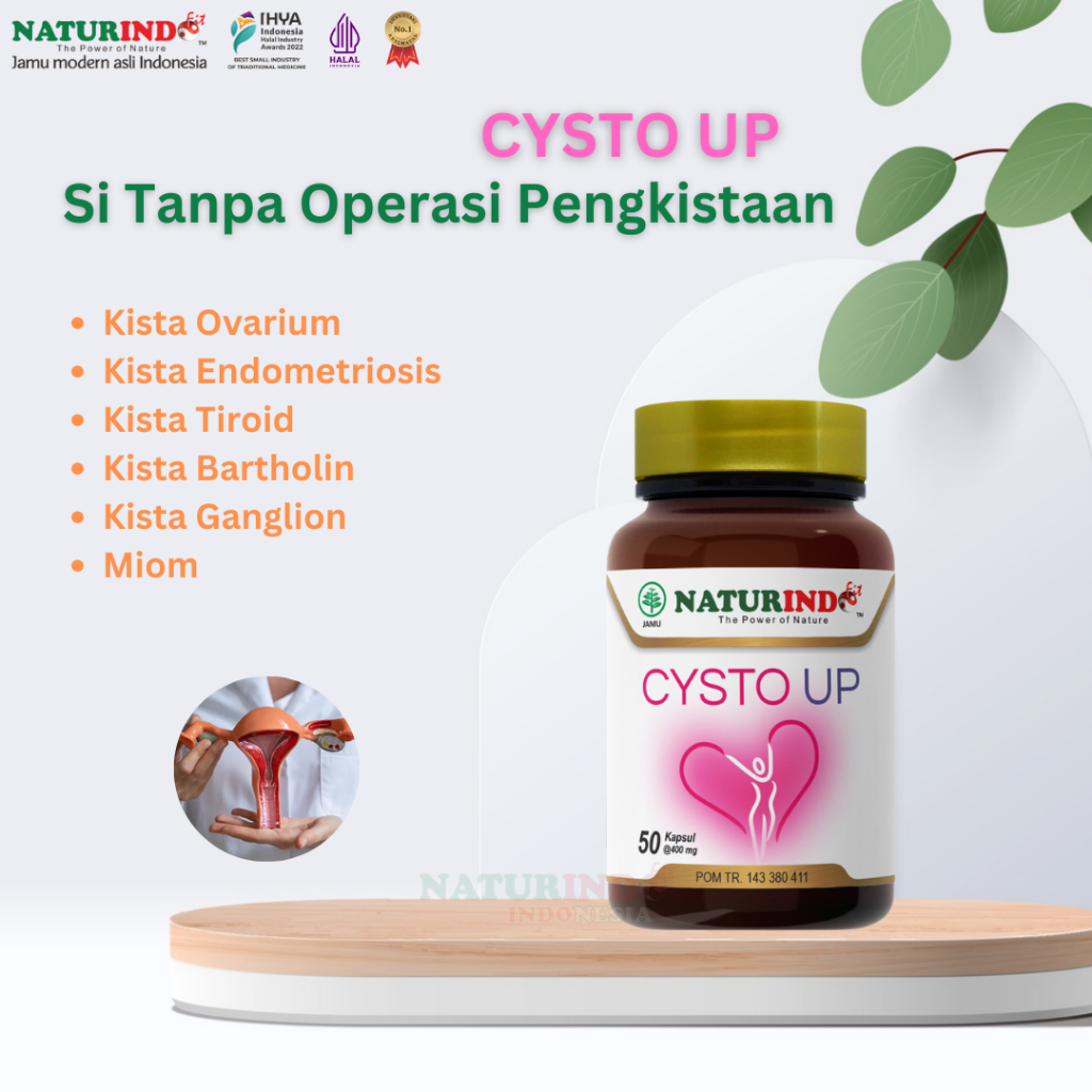 

Cysto Up (Herbal untuk Myom dan Kista)