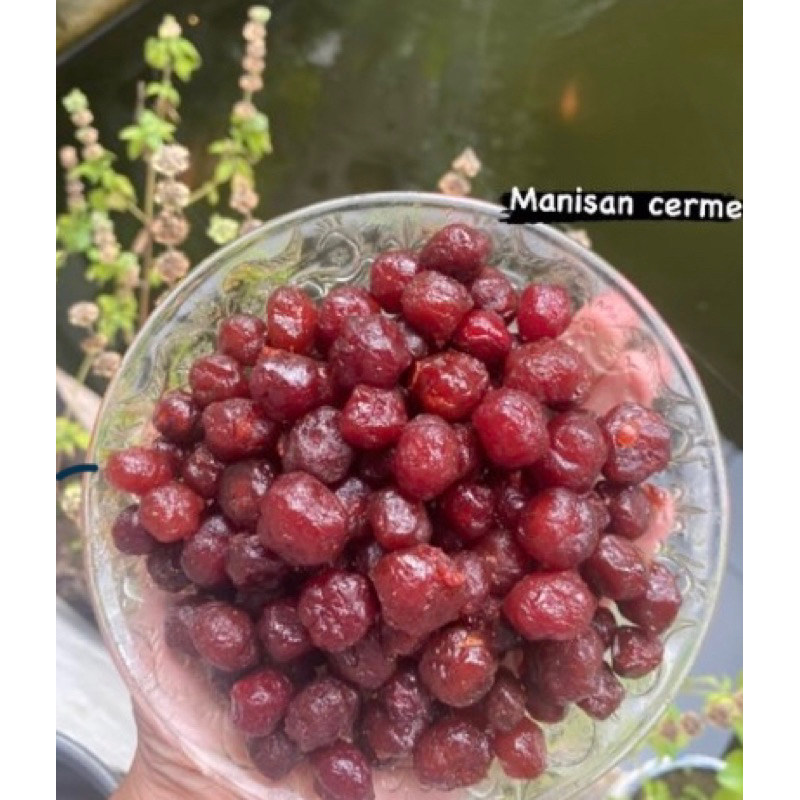 

manisan cerme kering 1 kg