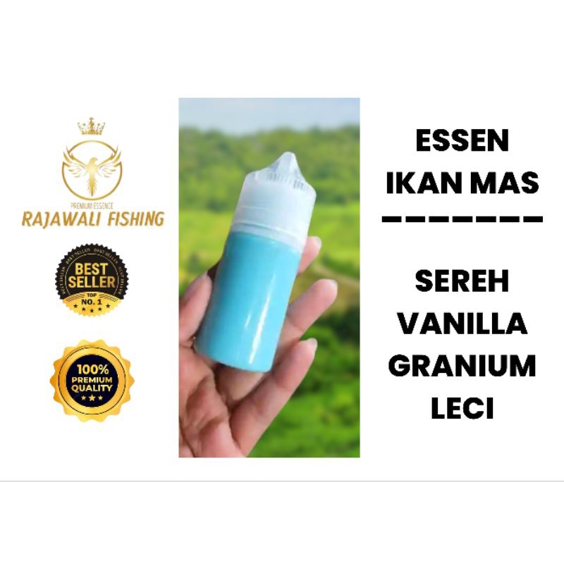 ESSEN IKAN MAS KILO GEBRUS, HARIAN, RAME