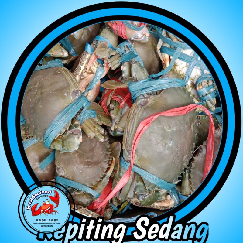 

KEPITING SEDANG SEGAR 1kg