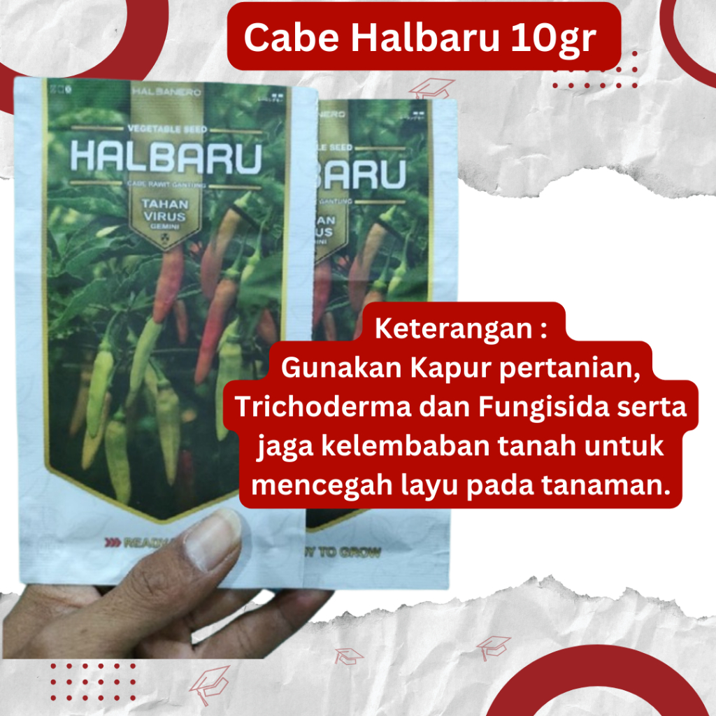

Cabe Halbaru 10gr Cabe Rawit Tahan Virus Kemasan Original Pabrik