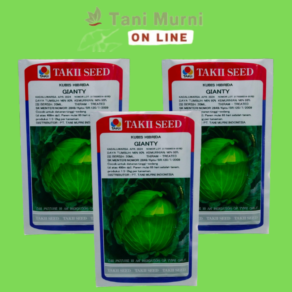 Benih Kubis Hibrida GIANTY Takii Seed 20 Ml