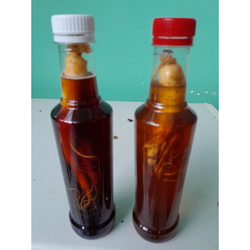 

Ginseng Madu Hutan liar
