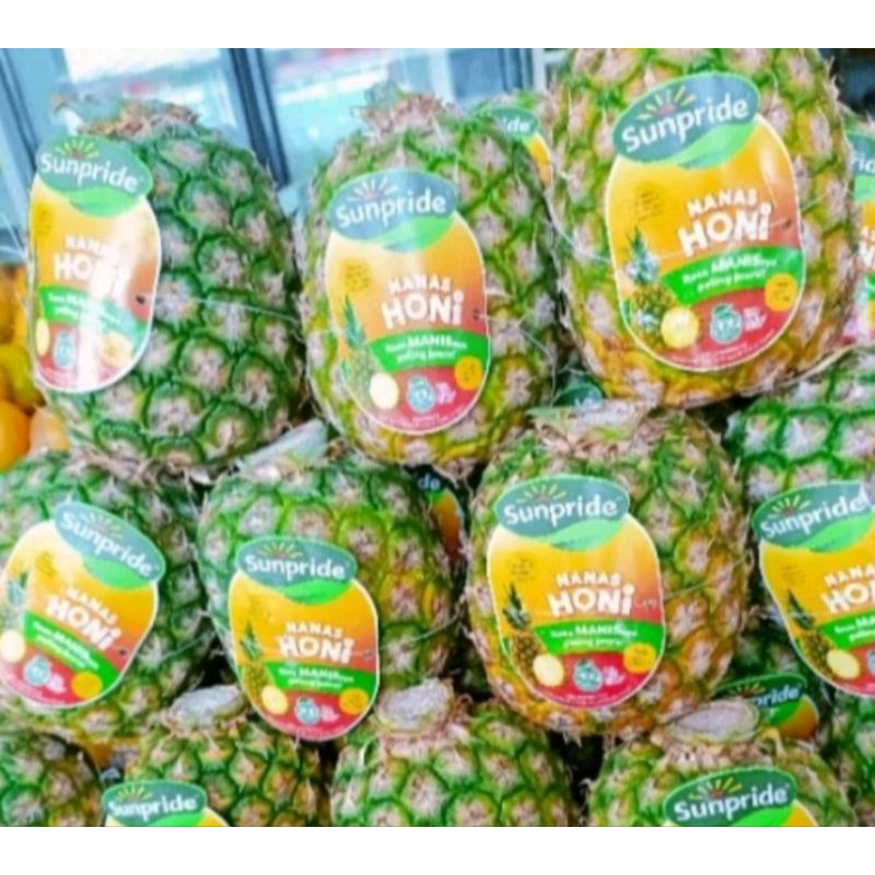 

bibit nanas honi big super manis