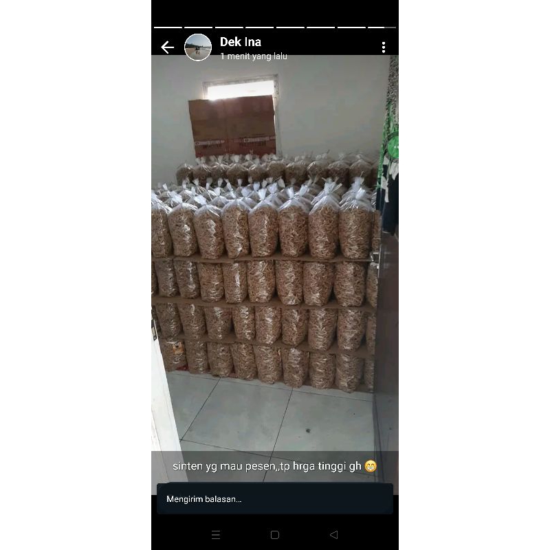 

CO Live Banyak Kg