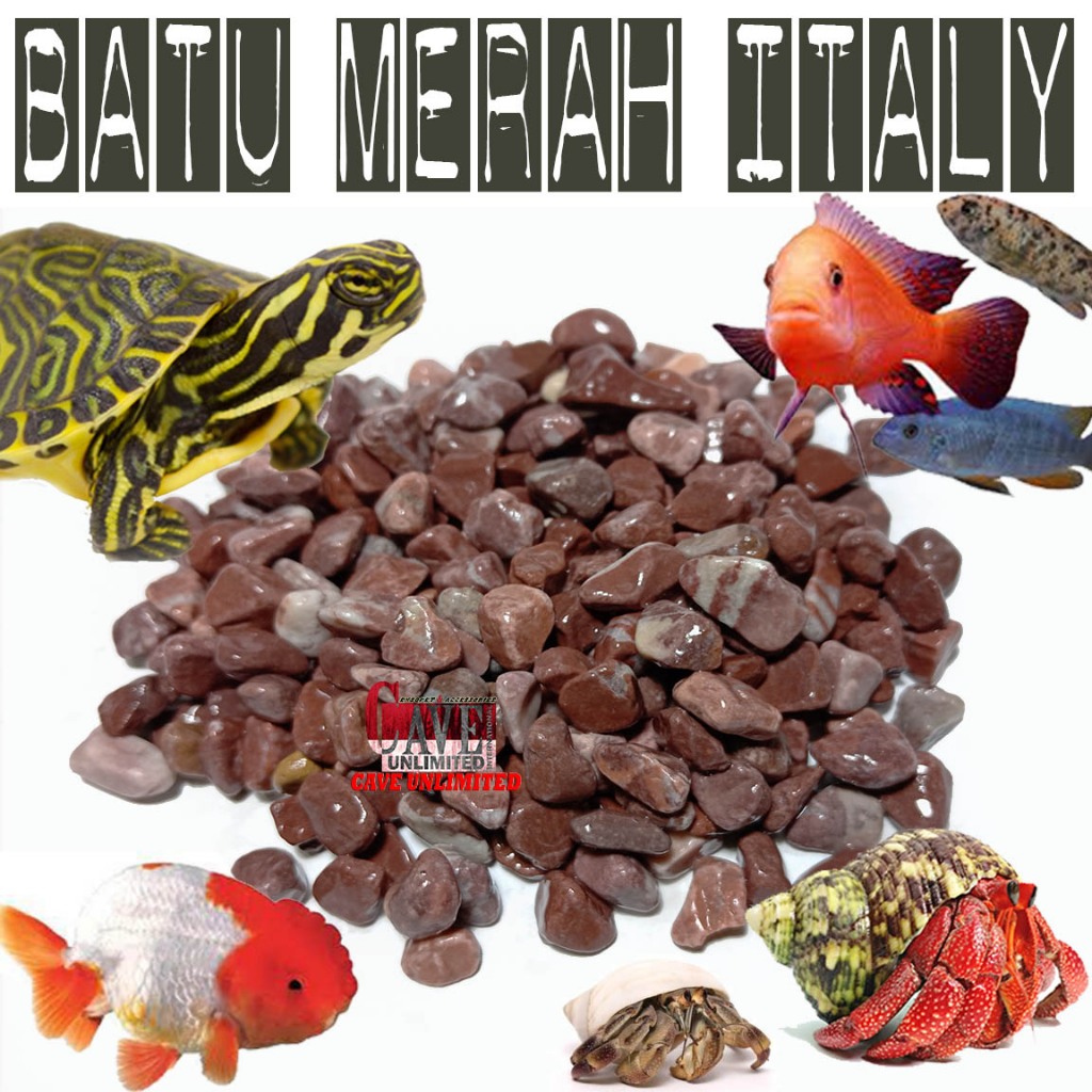 BATU HIAS ALAM MERAH ITALY ALAS SUBSTRAT KANDANG REPTILE KURA-KURA AIR BRAZIL KELOMANG KADAL GECKO A