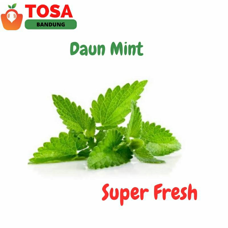 

Daun Mint/daun min