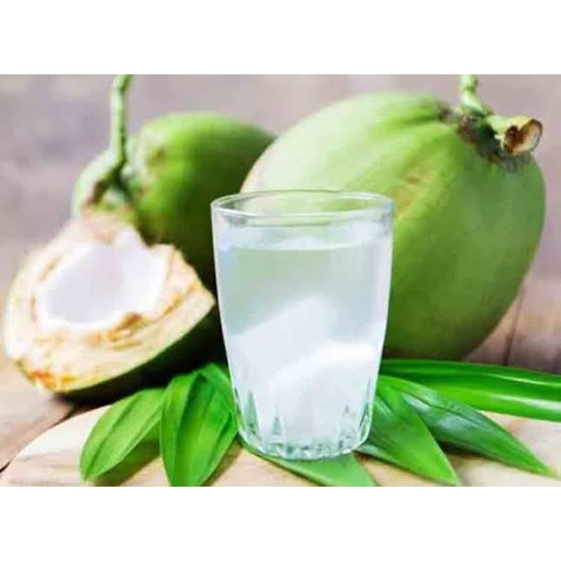 

kelapa Hijau / Kelapa Muda / Kelapa Ijo / Kelapa Obat Asli Alami