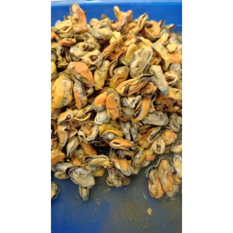 

kerang hijau kupas 1kg