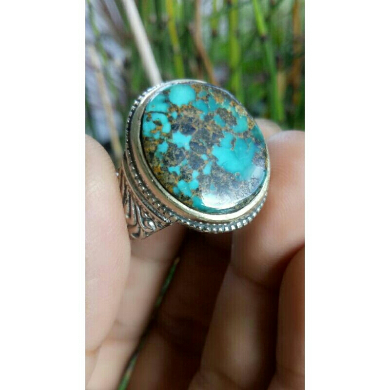 Pirus Persia Urat Emas