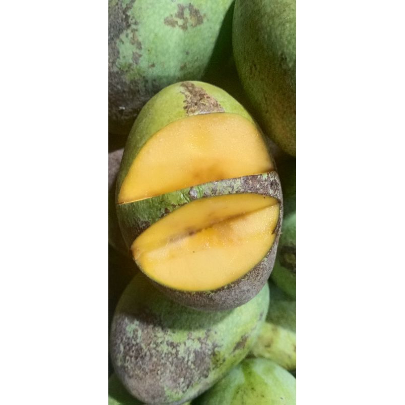 

MANGGA MANALAGI (MANGGA MADU) FRESS1KG