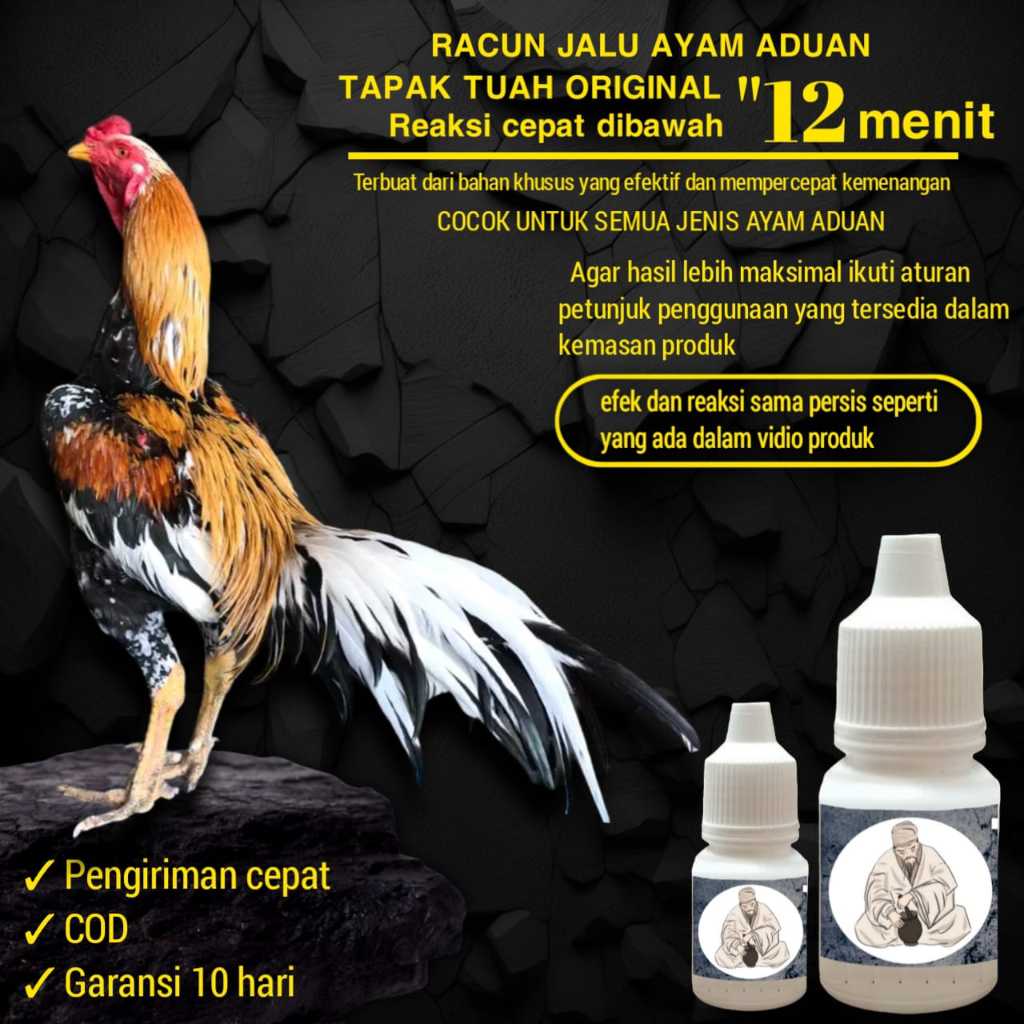doping ayam bangkok tarung racun jalu mangon anti lock pama iq