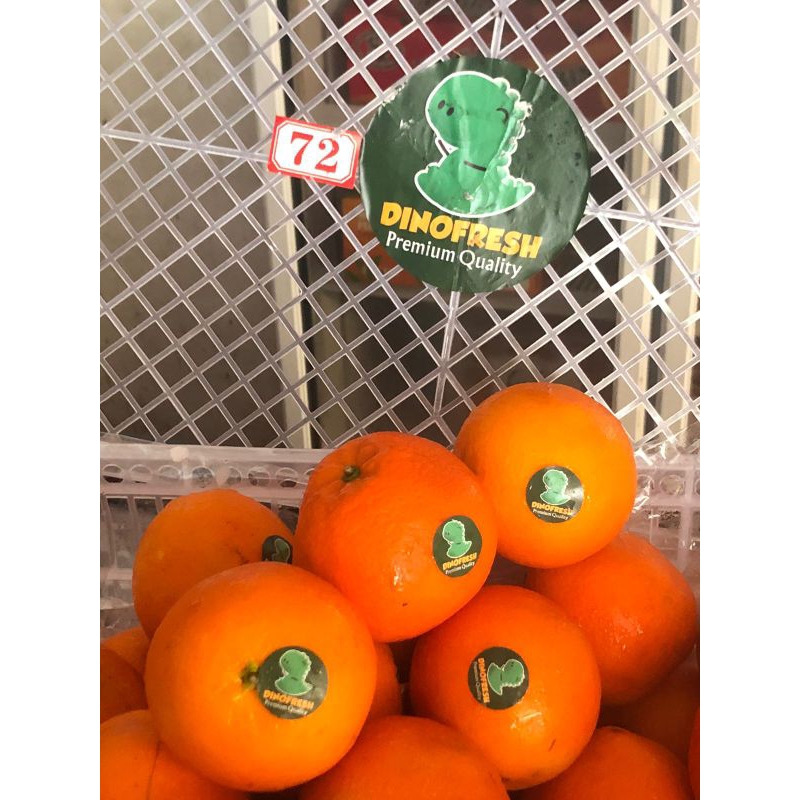

Jeruk Navel Dinofresh size 56 /kg