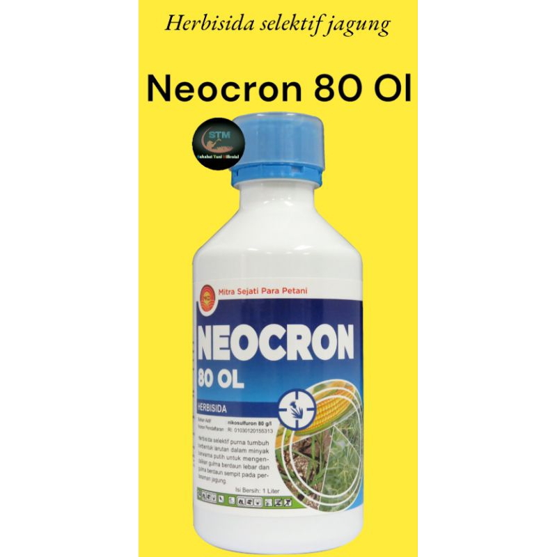 Neocron 80 Ol Herbisida selektif jagung