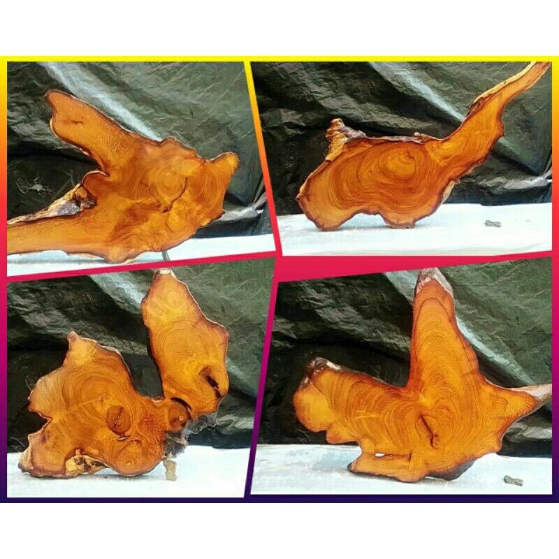 Wood Slice kayu resede