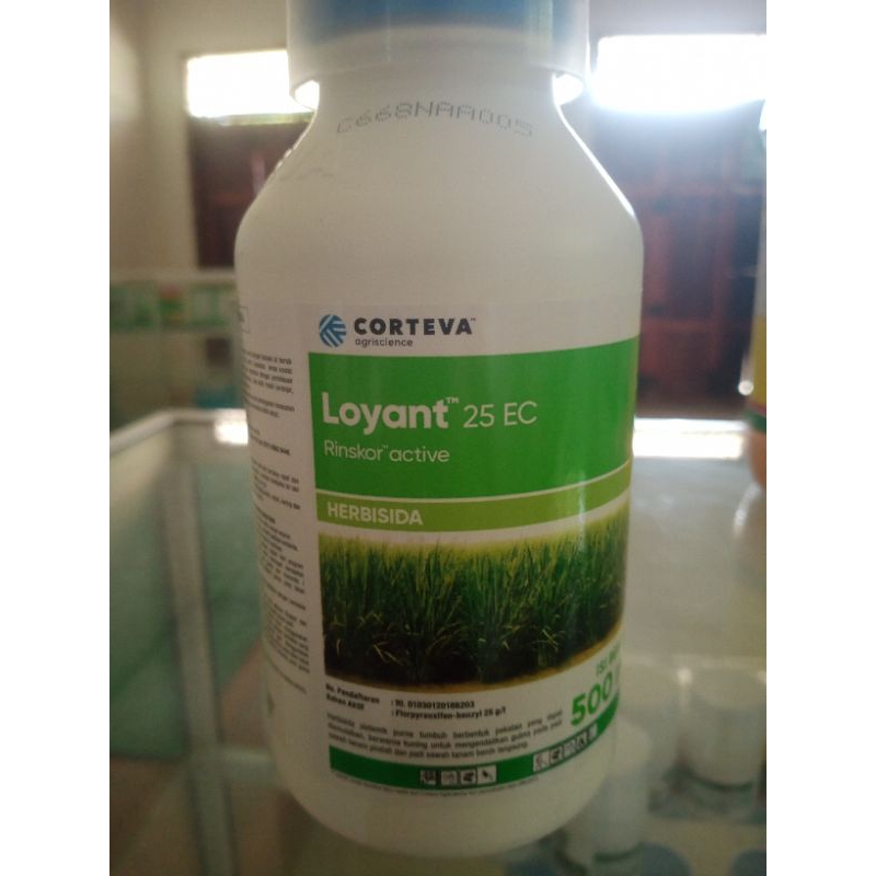 Loyant