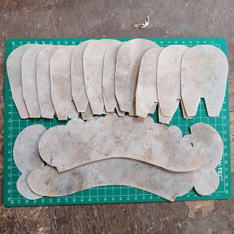 putihan sisik pilis kulit