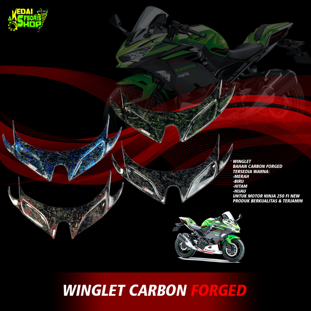 WINGLET CARBON FORGED FOR NINJA 250 FI NEW
