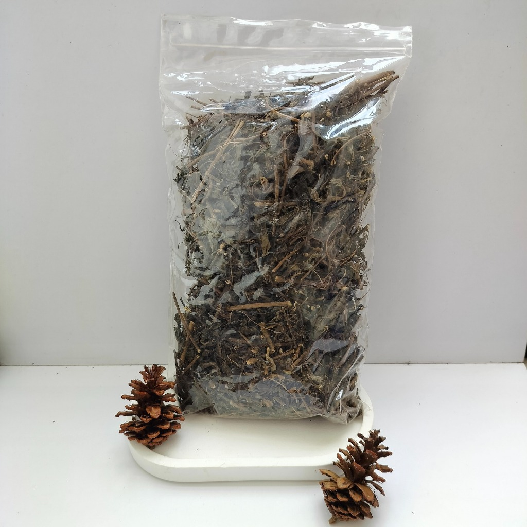 

Daun Kumis Kucing Kering