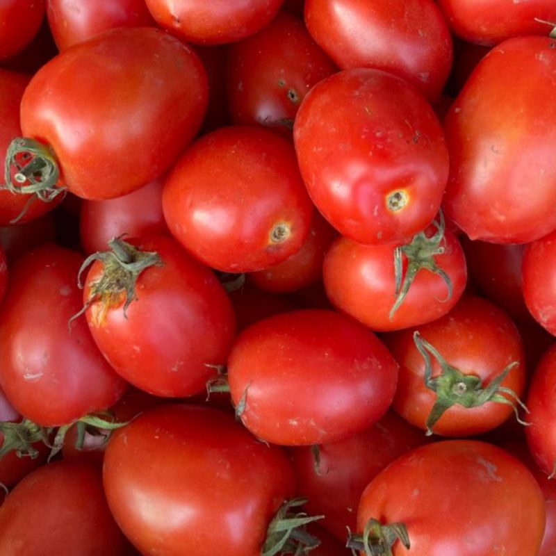 

Tomat Merah Segar 500 gr