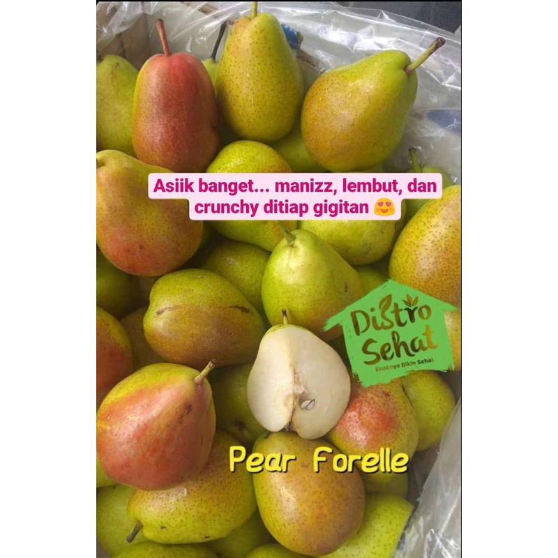 

Pir Forelle, pir eksotis yang manis crunchy lembut