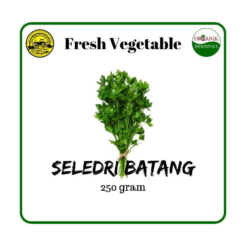 

Seledri Batang Organic Segar 250gram