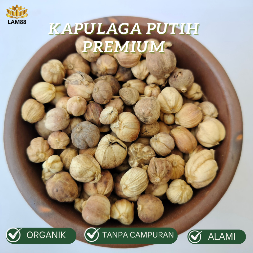 

Kapulaga Jawa Tanpa Pemutih / True Cardamom / Rempah