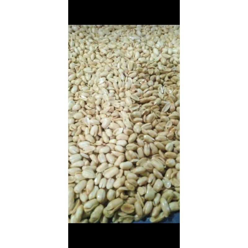 

kacang asin