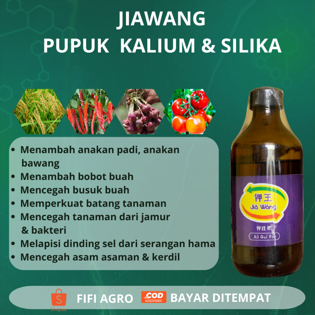JIAWANG Pupuk Kalium Silika Murni Cair Original Anti Rebah Pengeras Batang Tanaman Anti Patek Pengis