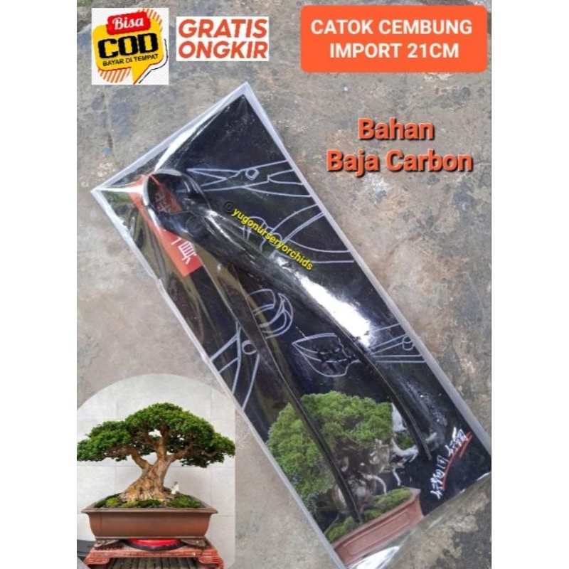 Catok Bonsai Catok Cembung Import Baja carbon 21cm