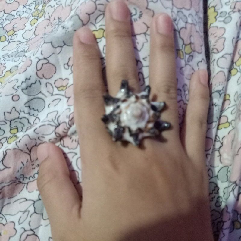 CINCIN cangkang kerang