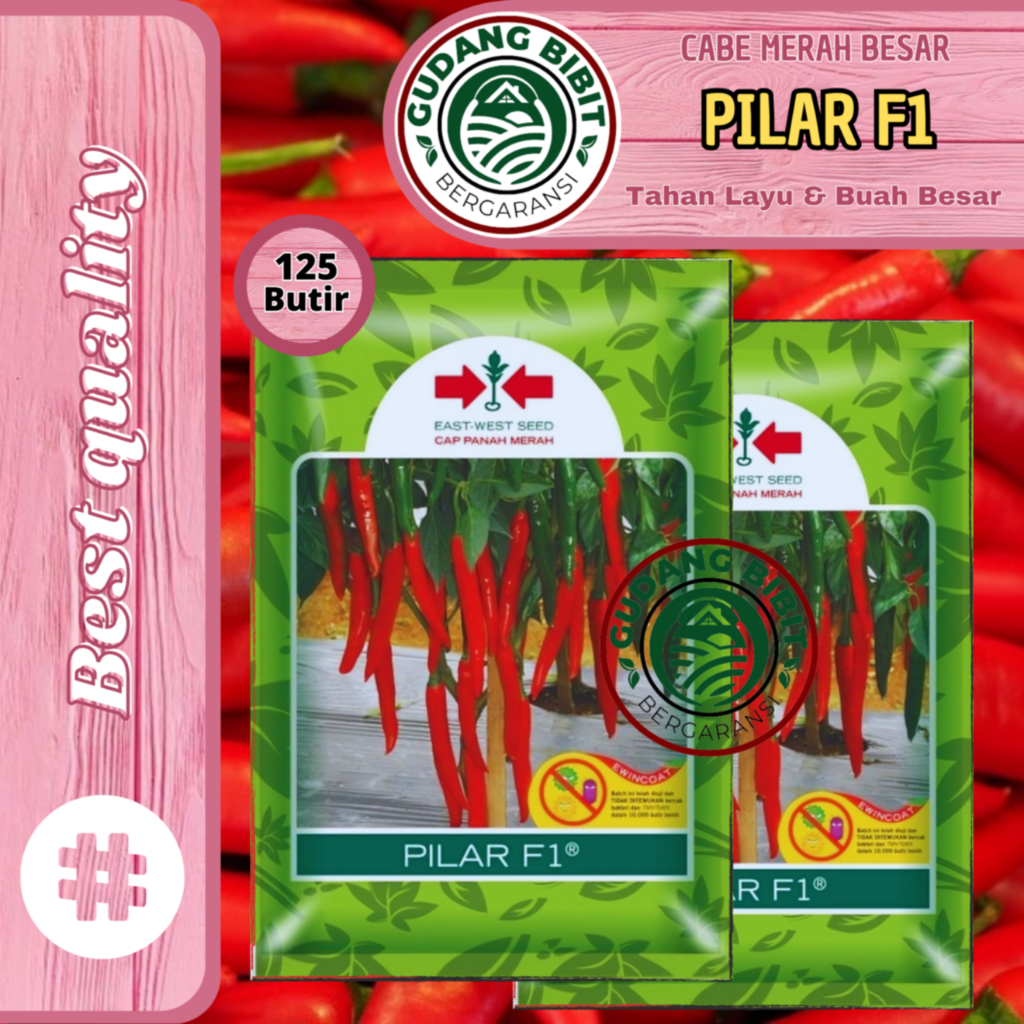 Benih Bibit Cabe Merah Besar PILAR F1 125butir Cap Panah Merah