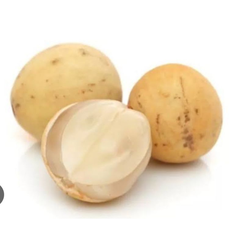 

Duku segar 500gr