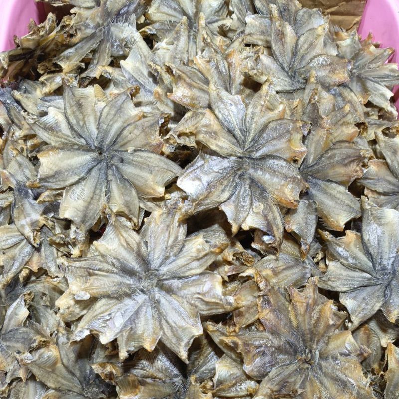 

sepat kipas tawar banjar 500gram